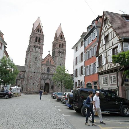 Gite Les Tourterelles Selestat - 30Min Europapark Kültér fotó